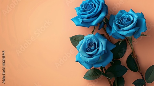 Blue roses beauty background