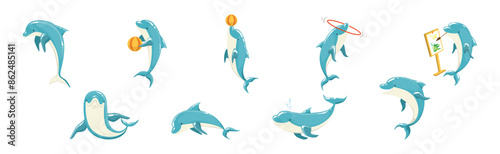 Blue Bottlenose Dolphin Performing Show Trick Vector Set