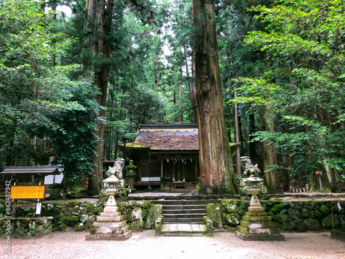 龍穴神社 - 奈良・室生
龍王が住む神社