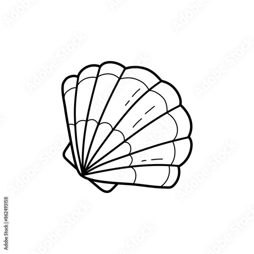 Pearl shelll vector illustration. Line art. printable coloring page for kids and adults