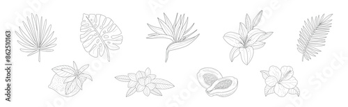 Tropical Exotic Flora and Foliage Sketch Vector Set