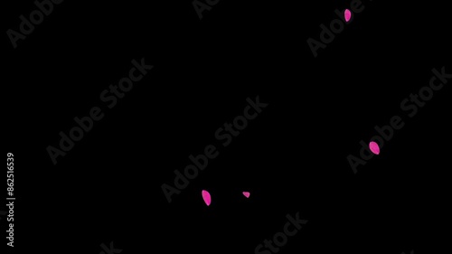 flower leaf petals fall particle effect transition