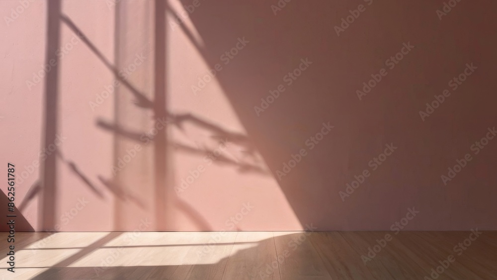 Sunny Window Shadow Play Sunny Window Shadow Play