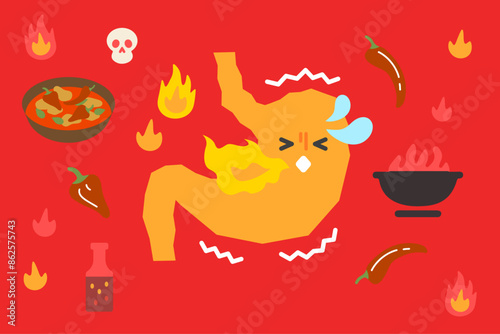 カレーなどの辛いものを食べた胃