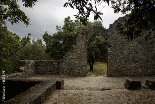 Monastery Ruins photo