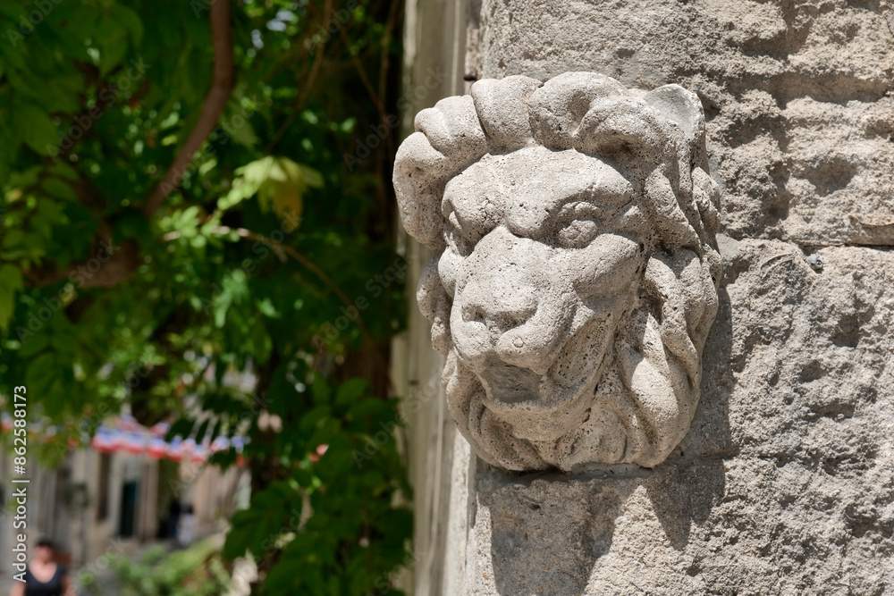 Obraz premium tête de lion