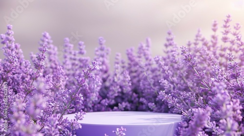 Purple Lavender Field with Platform for Product Display