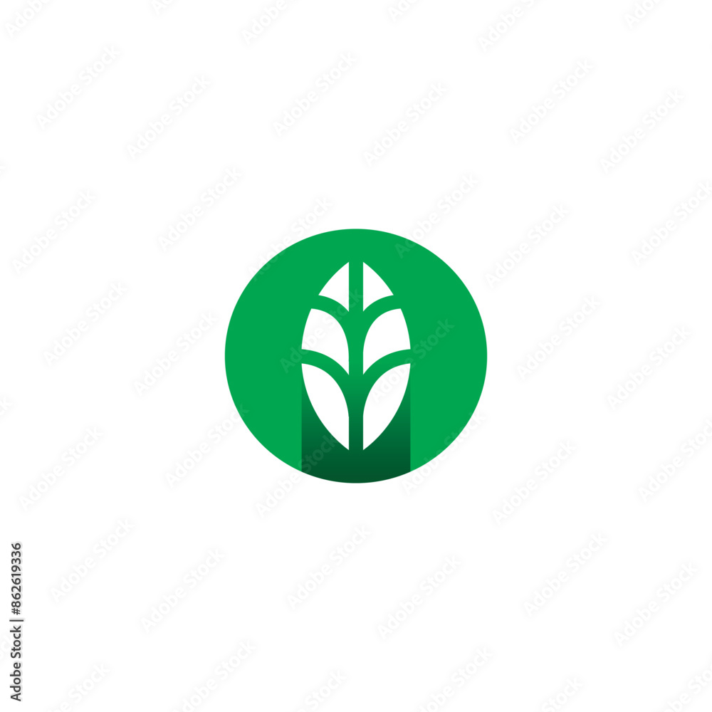 Letter O Leaf Logo Vector Illustration. Nature Organic Icon Letter O Leaf Logo Vector Illustration. Nature Organic Icon