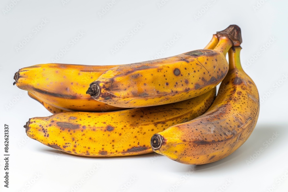 clean and fresh of a one bunch Plantain Bananas, copy space on right side, isolated on white background