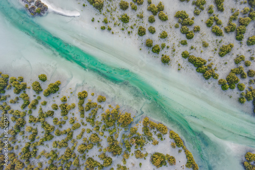 Aerial view of Jubail Mangrove, Abu Dhabi, United Arab Emirates.