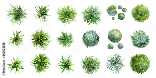 Set of top view of watercolor grass bushes isolated on white background.