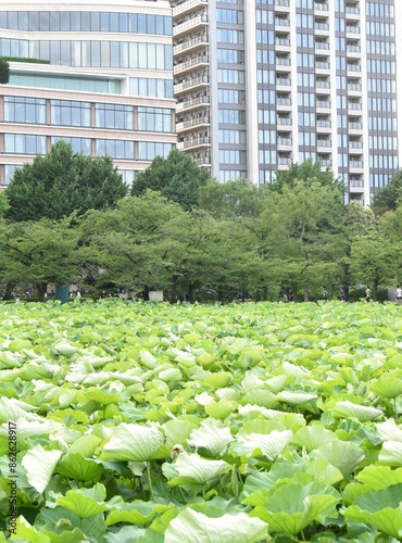 Obraz na płótnie ueno park tokyo view on modern buildings w salonie