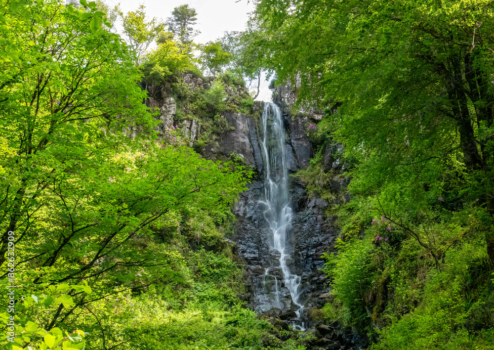 Beautiful waterfall in the forest on the Isle of Mull Beautiful waterfall in the forest on the Isle of Mull