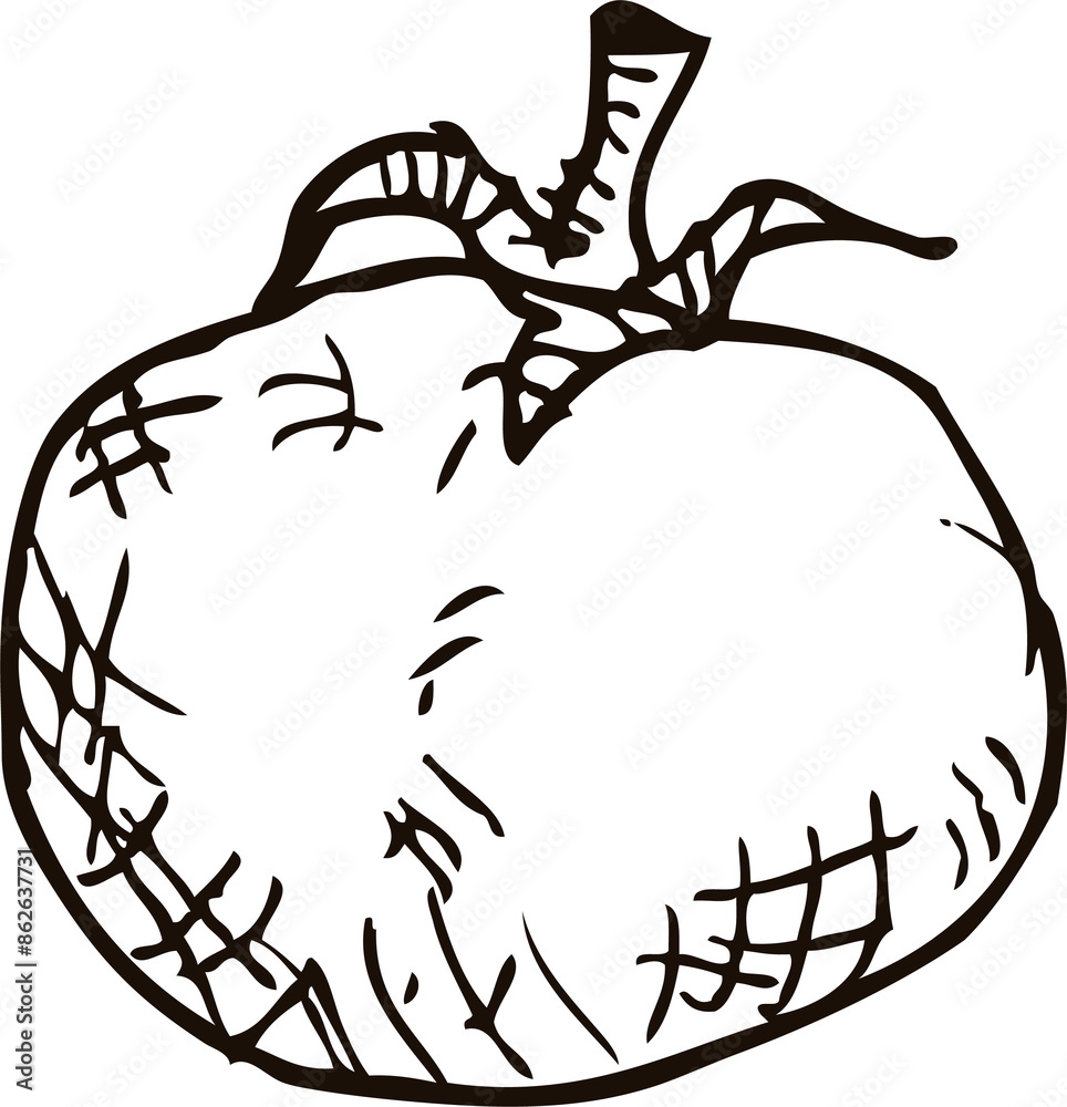 Tomato icon doodle