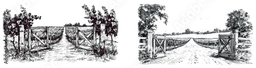 Hand drawn vineyard gate in vintage black and white