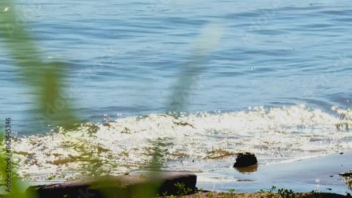 A tranquil morning scene of a calm lake shore where gentle waves slowly caresses the shore, while the delicate water ripples creates fantastic sun reflections.