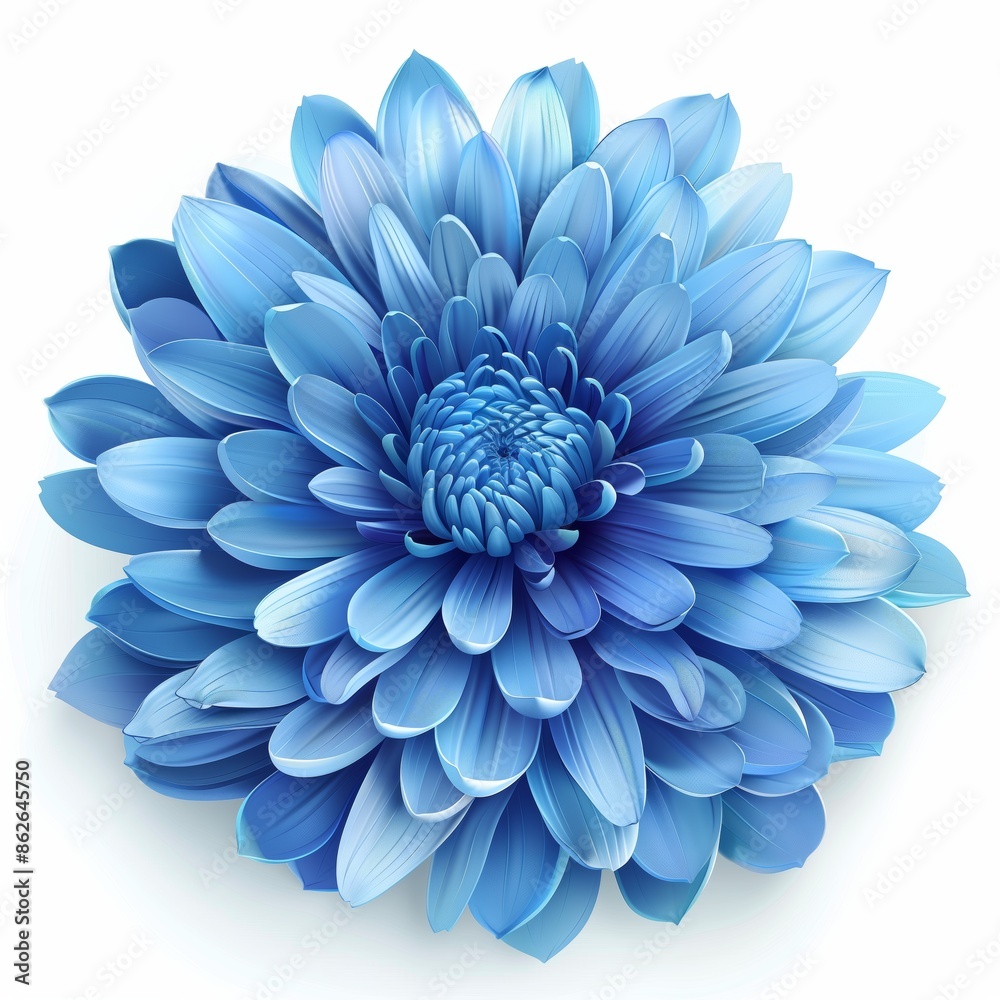 Obraz premium 3D blue chrysanthemum element