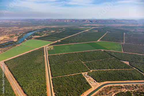 Aerial view of expansive green fields and irrigation in Kununurra, Western Australia, Australia. photo