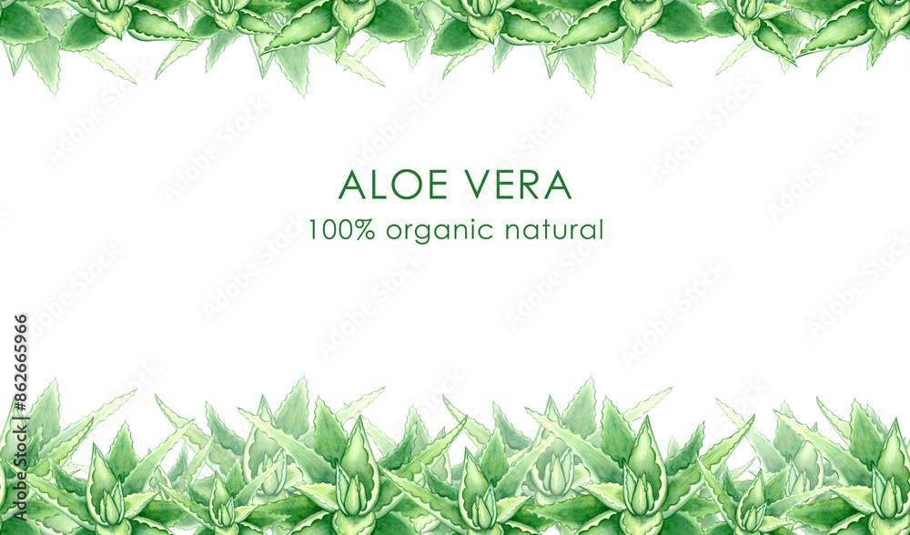 Obraz premium Seamless banner, endless print, border, frame. Hand drawn frame of green watercolor aloe vera illustration, one aloe vera element, green succulent on white background.