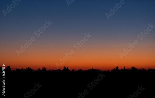 View of Bialoweza forest at sunset, Swietokrzyskie Voivodeship, Poland. photo