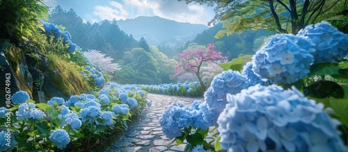 A beautiful view of hydrangeas and cherry blossoms at Satte Gongendo with a picturesque copy space image. photo