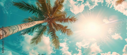 Tropical palm tree with sunlight against a blue sky and clouds creates a serene background for vacation and travel concepts with a vintage color style in the image's copy space.