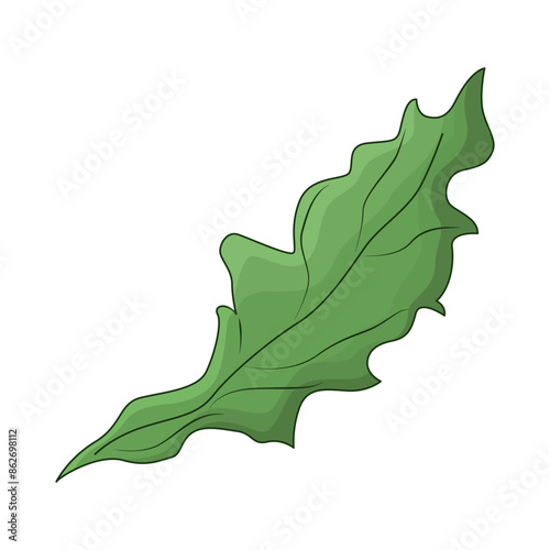 seaweed illustration