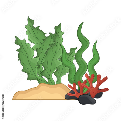 seaweed illustration