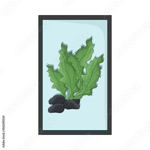 seaweed illustration