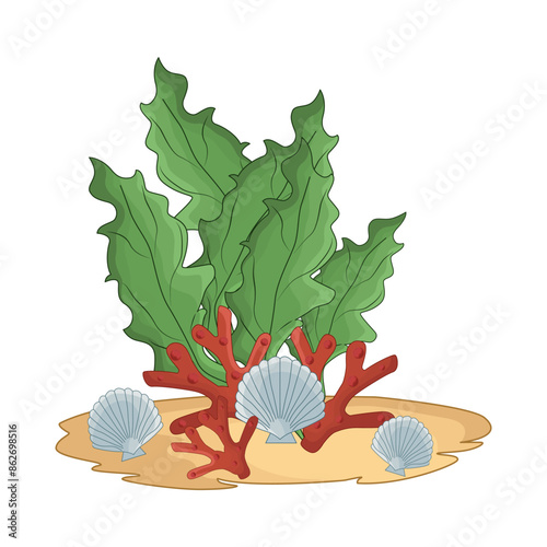 seaweed illustration