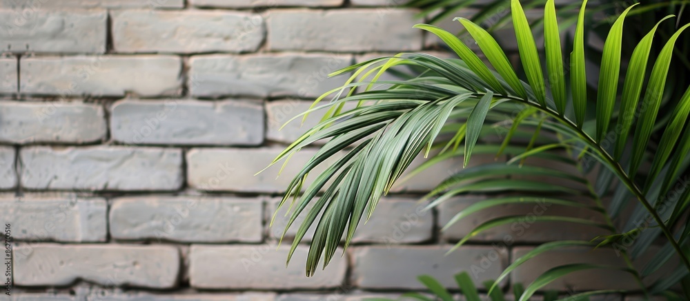 Fototapeta premium Close-up image of vivid green palm tree leaves on a branch, set against a grey brick wall, ideal as a wallpaper with copy space.