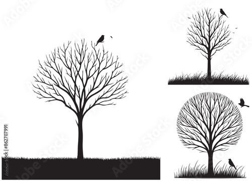 Winter tree sketch. Black, abstract