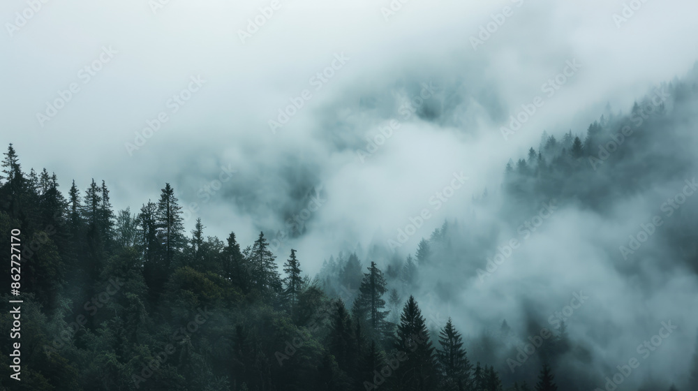 Misty foggy mountain landscape with fir forest Misty foggy mountain landscape with fir forest