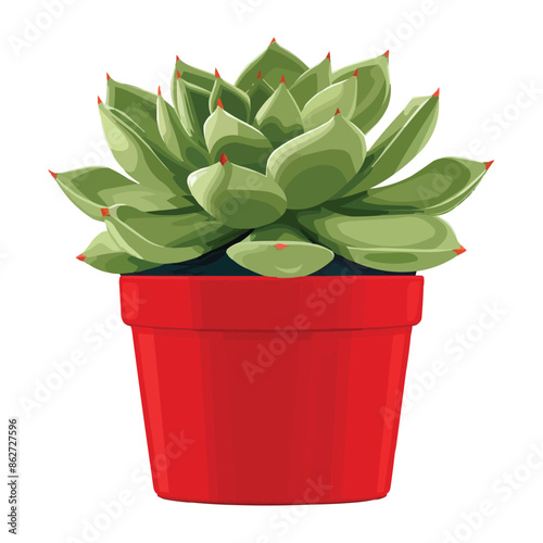 vector coloful succulent planted in a red pot