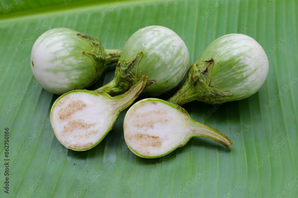 Thai green eggplant, fresh organic vegetables Thai green eggplant, fresh organic vegetables