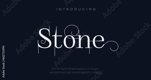 Elegant Luxury Uppercase Lowercase and Number. Classic Lettering Minimal Fashion Designs. 
Typography modern serif fonts regular decorative vintage concept. vector Illustration