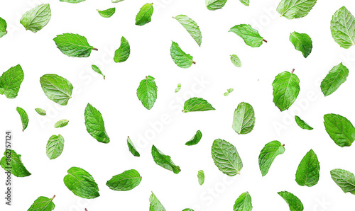 Fresh Mint Leaves Scattered in Diagonal Pattern
