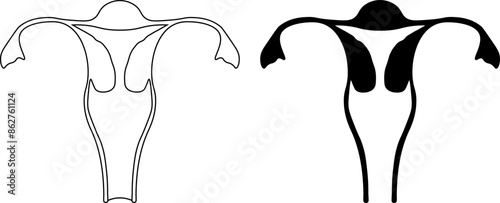 outline silhouette human uterus icon set