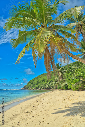 Anse Parnel beach, blue sky turquoise water, low tide sunny day, white sandy beach, coconut palm trees, Mahe, Seychelles photo