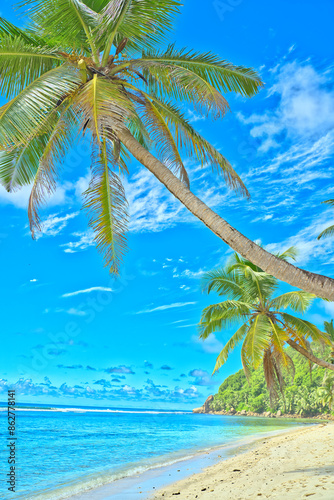 Anse Parnel beach, blue sky turquoise water, low tide sunny day, white sandy beach, coconut palm trees, Mahe, Seychelles photo