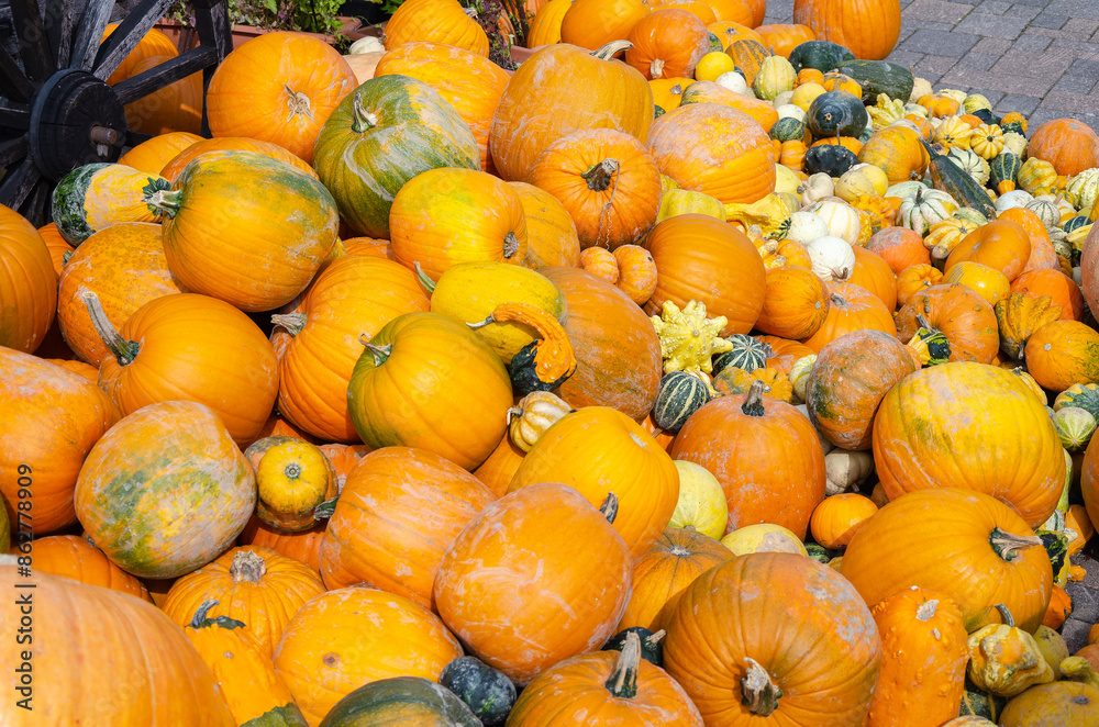 Obraz premium NISEKO