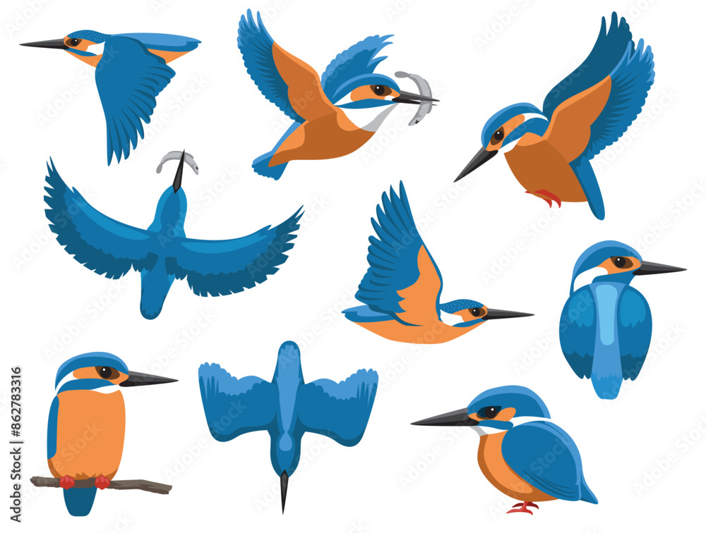 Naklejka premium Kingfisher Bird Various Poses Sequence Cartoon Vector Character