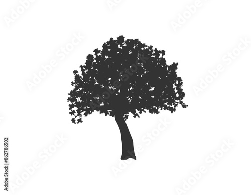 Oak Tree Silhouette. Plants and trees concept nature vector art