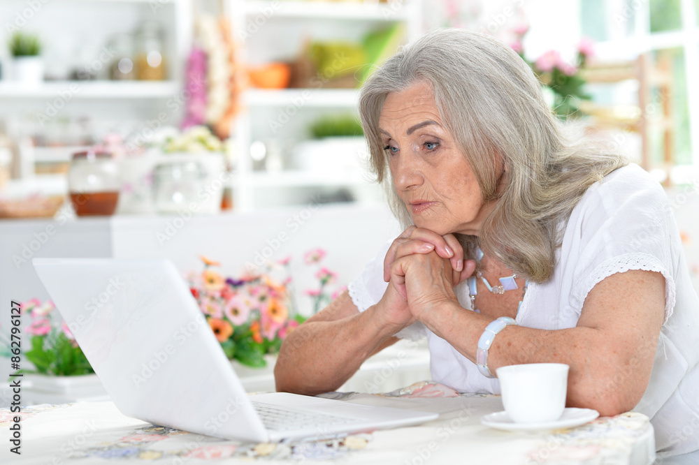 Cute nice senior woman using laptop at home Cute nice senior woman using laptop at home