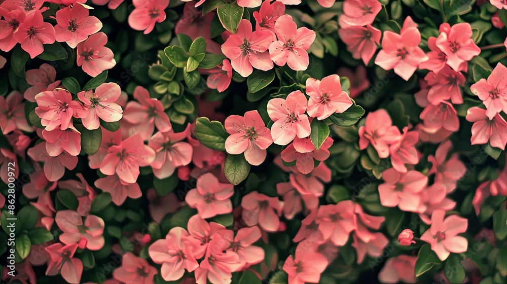 floral wallpaper background floral wallpaper background