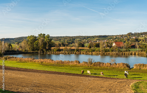 Fotografie Idyllic rural landscape in the Swiss canton of Thurgau, harvested field and lake