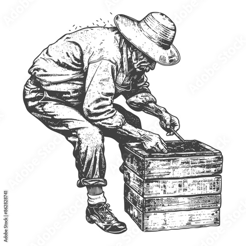 Beekeeper Tending Hives: Vintage Engraving of a Man with Hat, Working with Bees and Wooden Boxes.