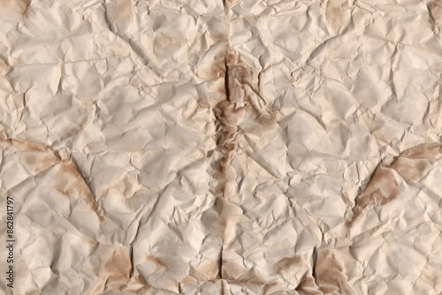 Vector old parchment paper sheet vintage aged or texture isolated on white background