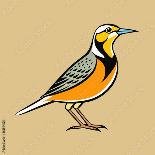 vector illustration of a bird