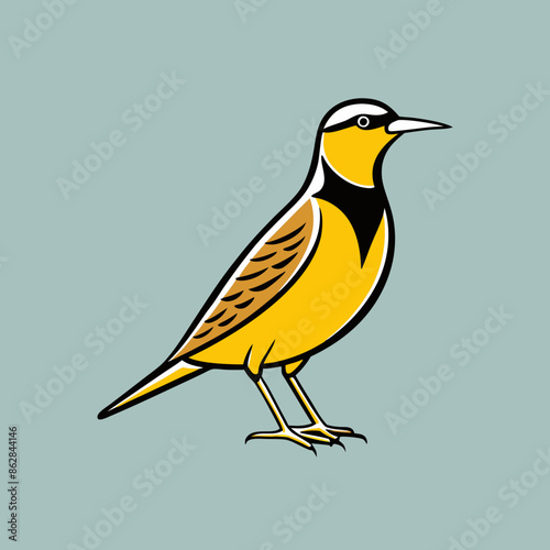 vector illustration of a bird